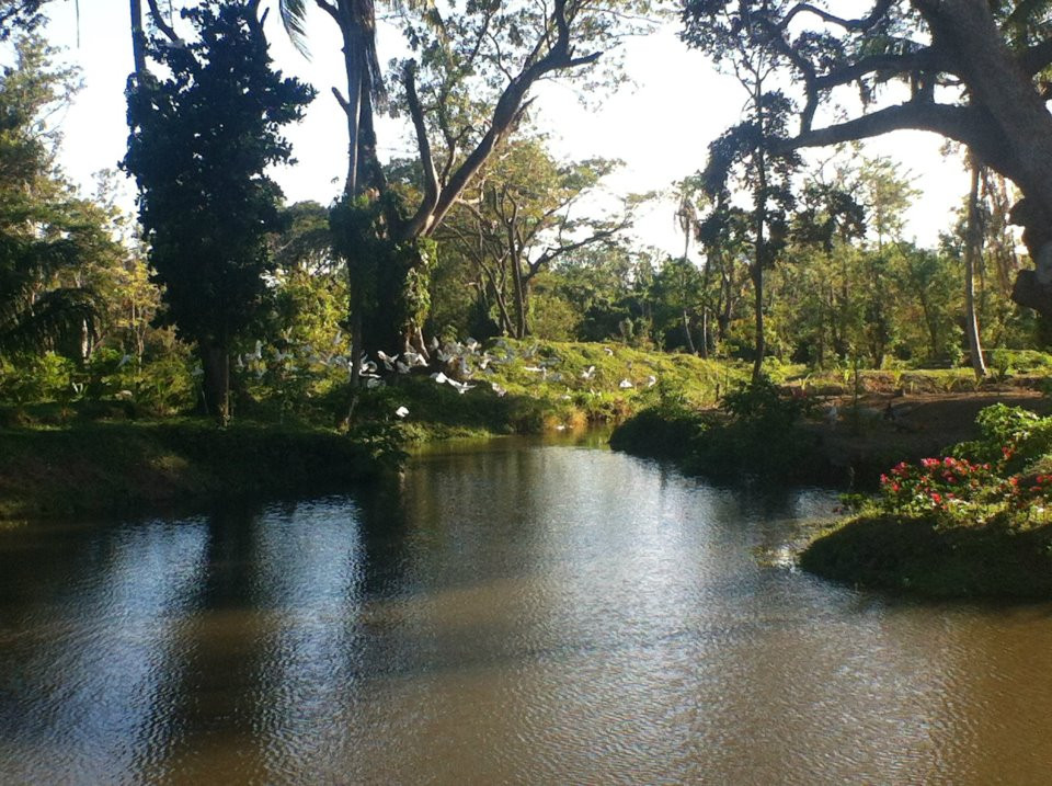 Parque Ecolu00f3gico Hacienda Los Malacos
