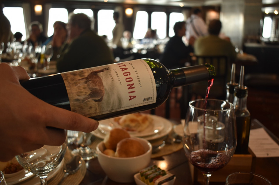 03  Los vinos del fin del mundo