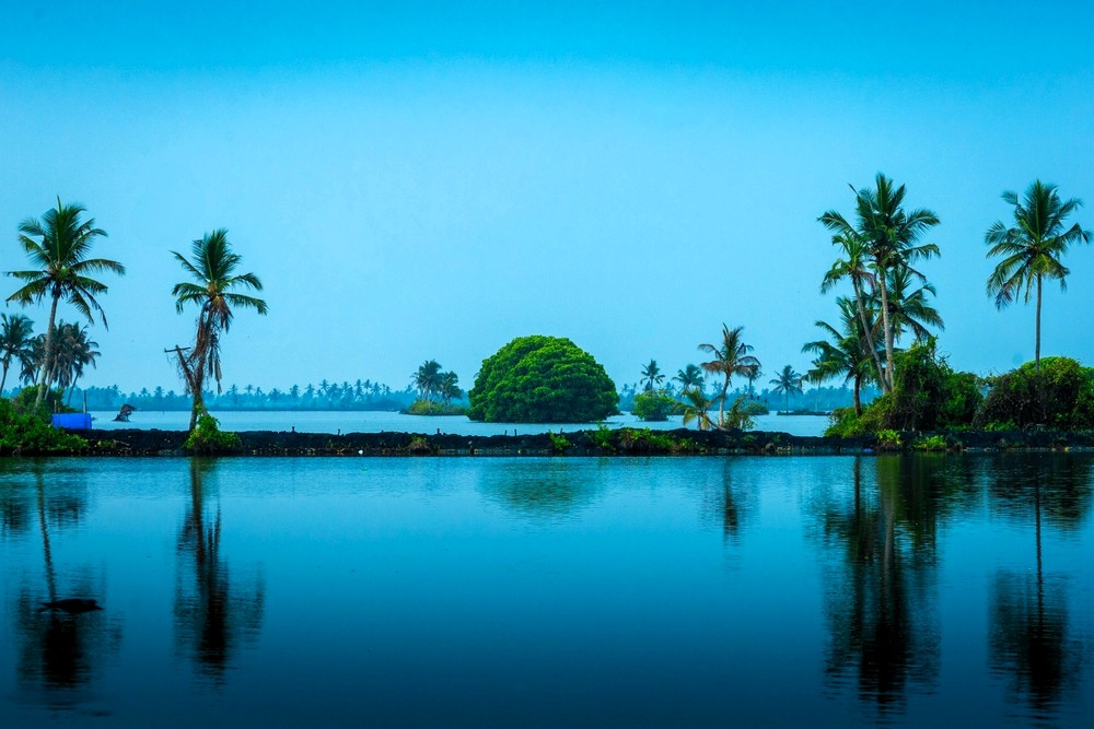 Kerala, Kumbalangi