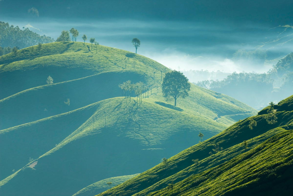 Kerala, Ondulantes colinas verdes y nubes que acarician la tierra en Munnar