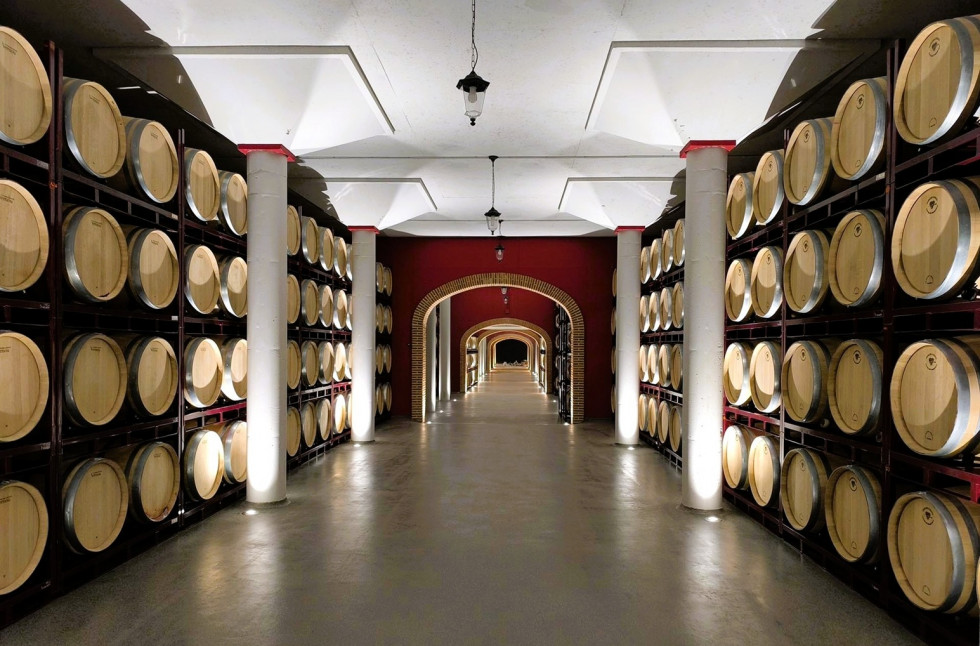 Bodegas Rodero sala barricas