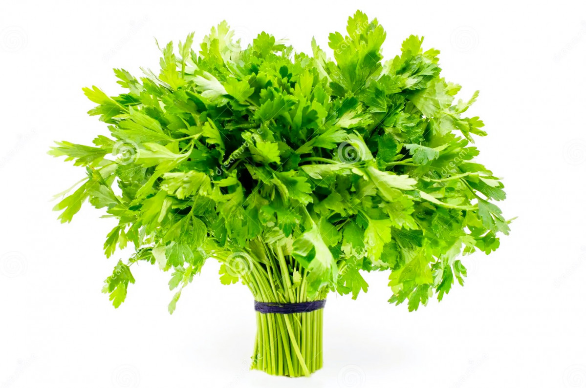 Perejil ramo