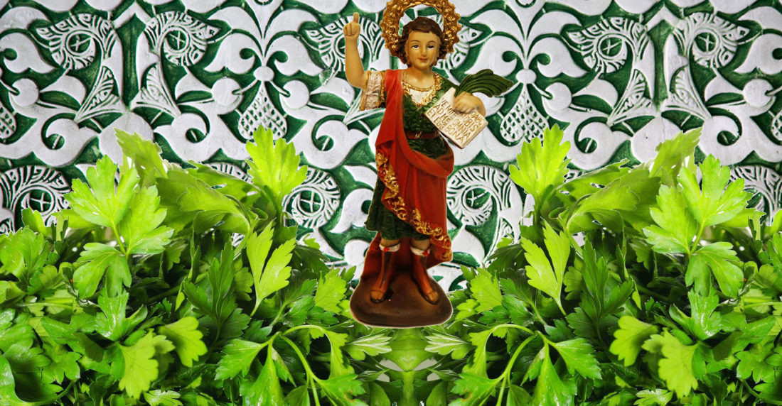 Perejil y San Pancracio 