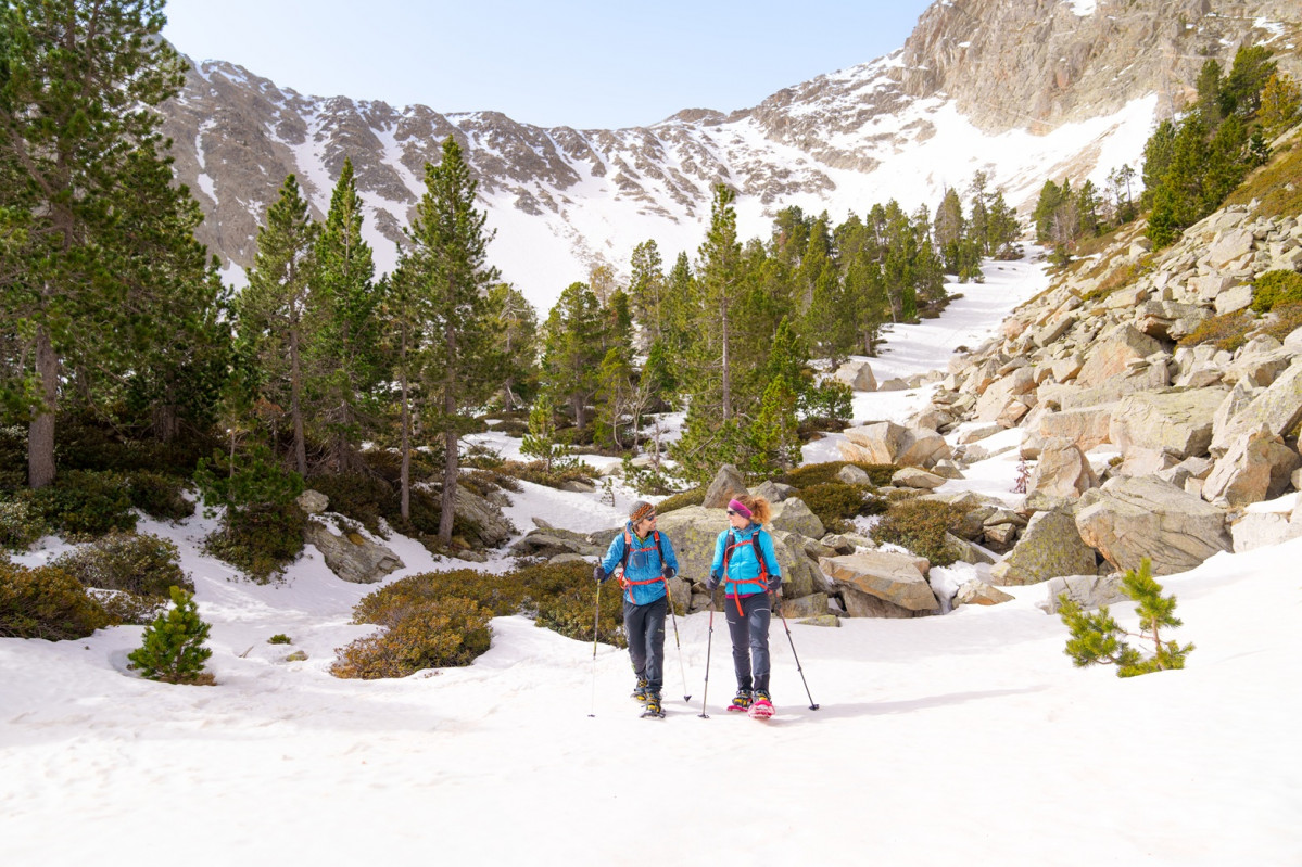 Vallter. Ripollu00e8s. Ovunno