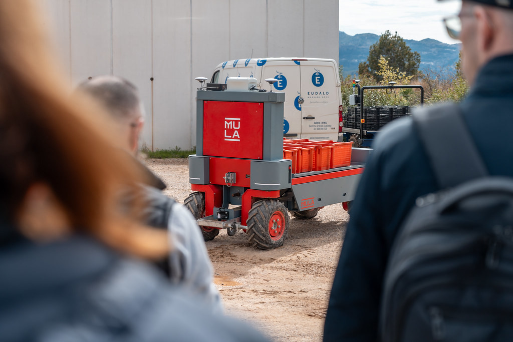 54429826391360797df91b (1)