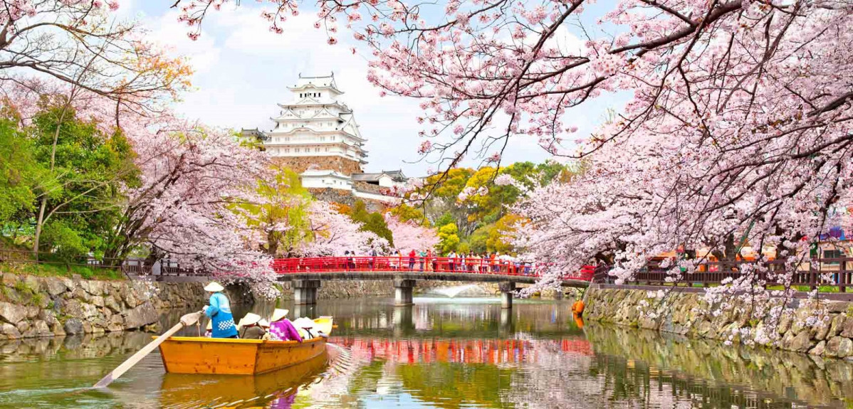 Japu00f3n himeji castle kyoto best cherry blossom spots sakura 1592