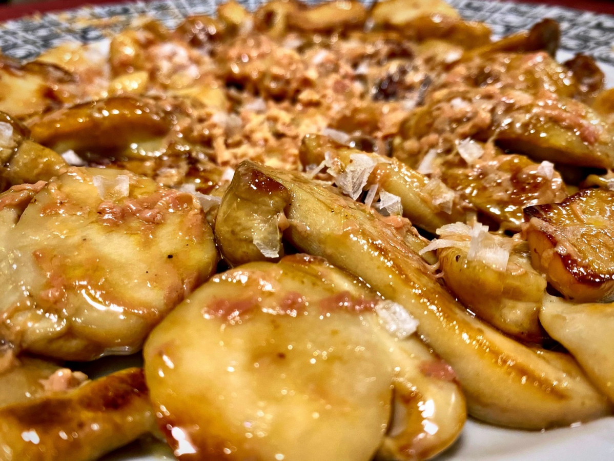 Boletus guisados, Riaza