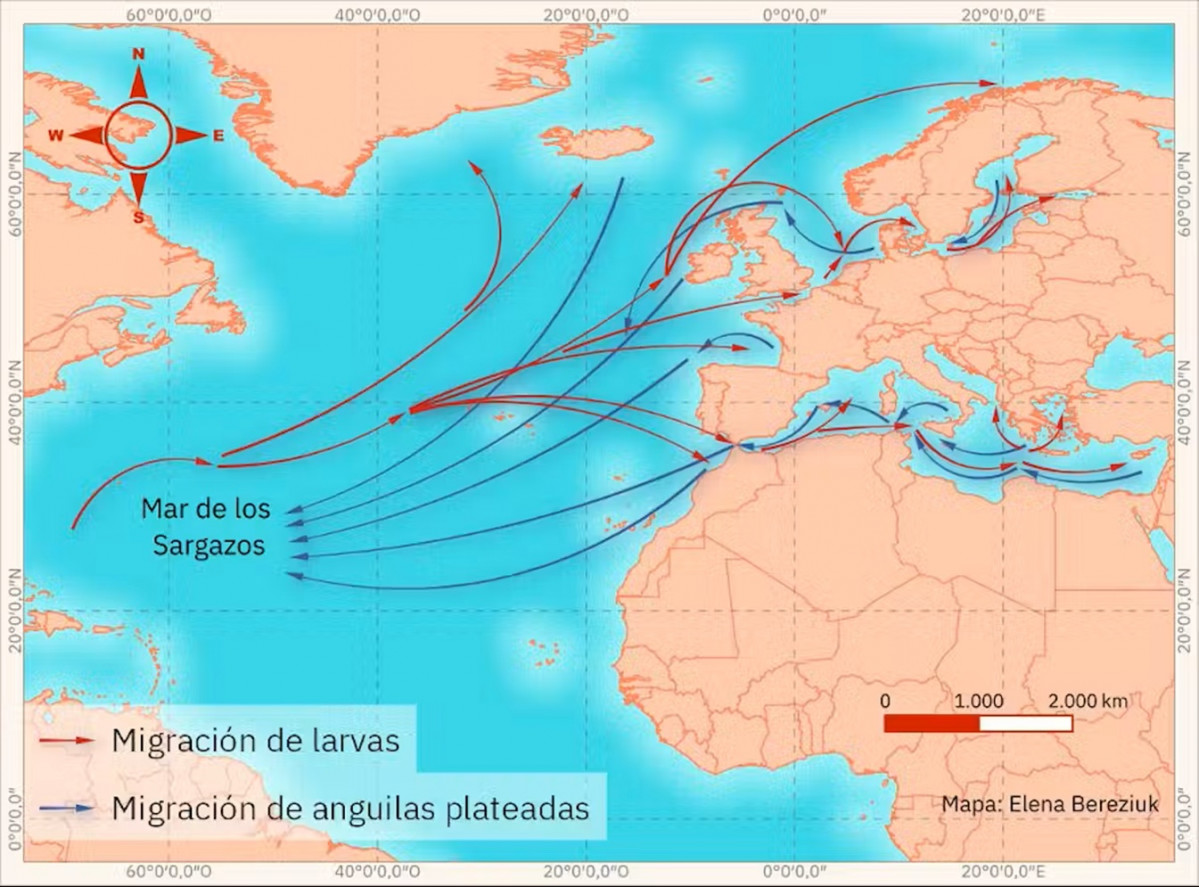 File 20250325 56 xphjcq