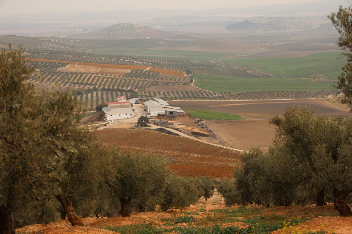 Finca Las Arenosas en Cu00f3rdoba