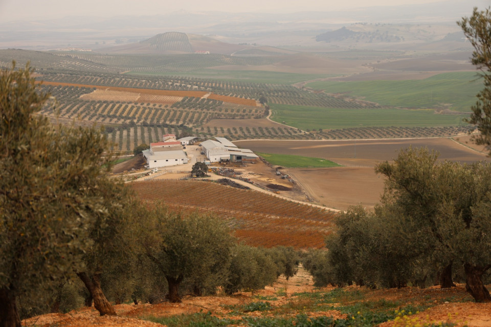 Finca Las Arenosas en Córdoba