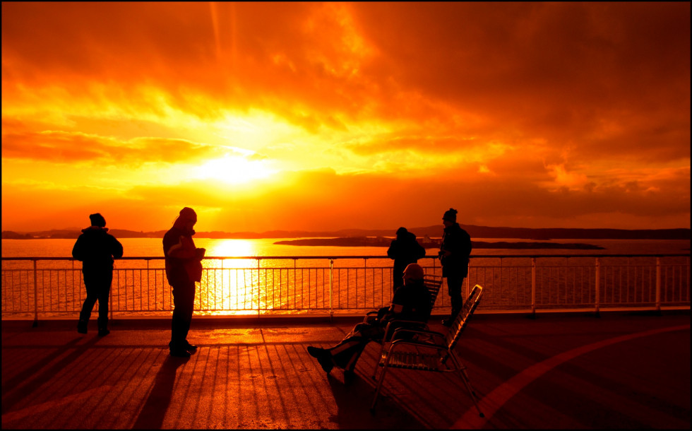 495020034 1516414019584252 4373876948076388510 n