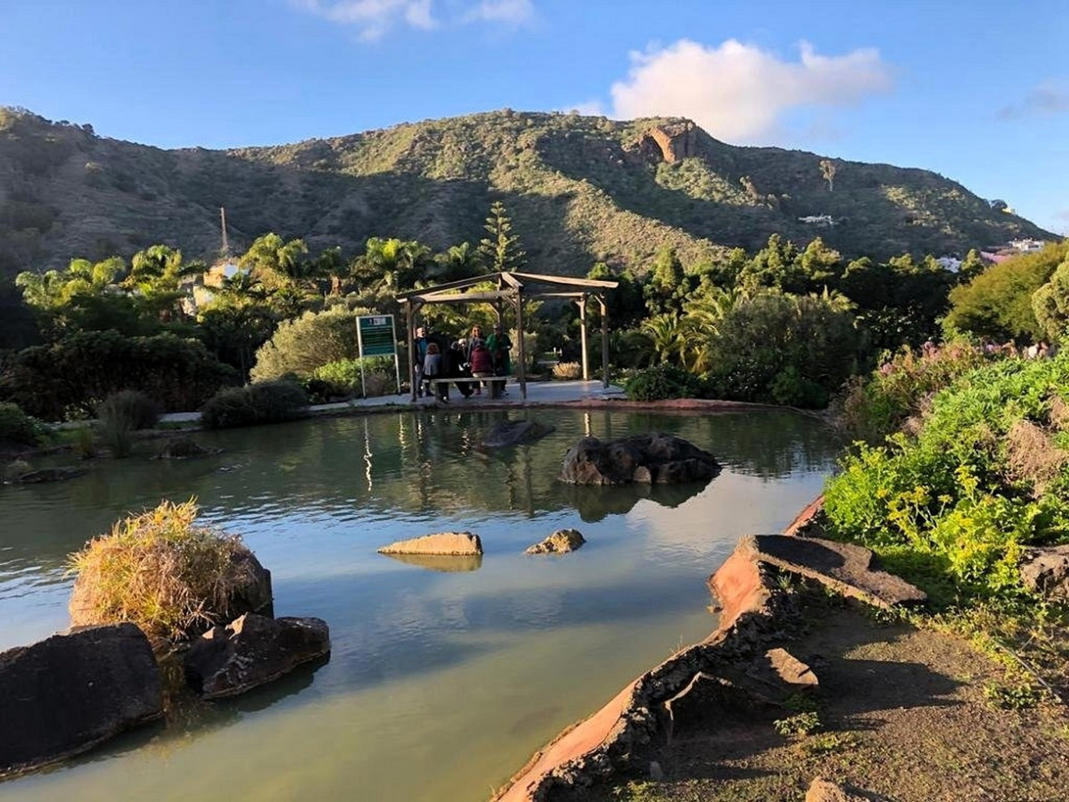 Las Palmas, Jardu00edn Botu00e1nico Viera y Clavijo