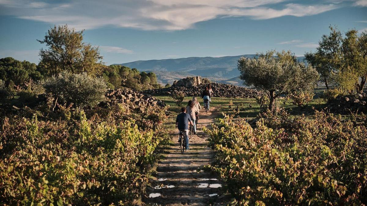 5cc3572b 4f93 48c4 8c5a 8baffc18ba54 16 9 discover aspect ratio default 0 x1050y979