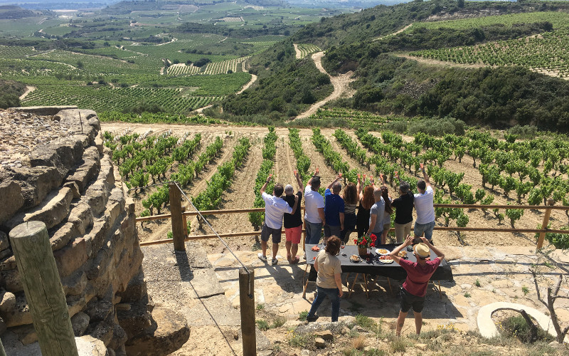 Visita Vinedo Bodegas Loli Casado 2