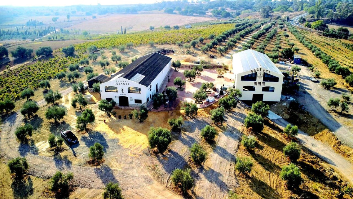 BodegasInfanteyBodegasMAMLaPalmadelCondado