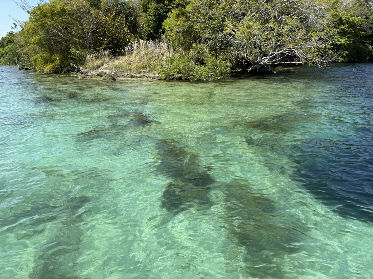 Cenote en la laguna Bacalar