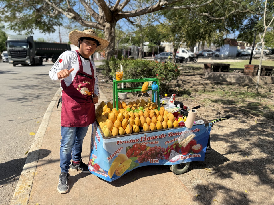 Vendedor de mangos