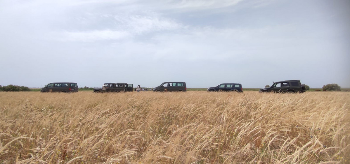 DoanaNaturetemuestraelCotodelReyyelParqueNacionaldeDoana