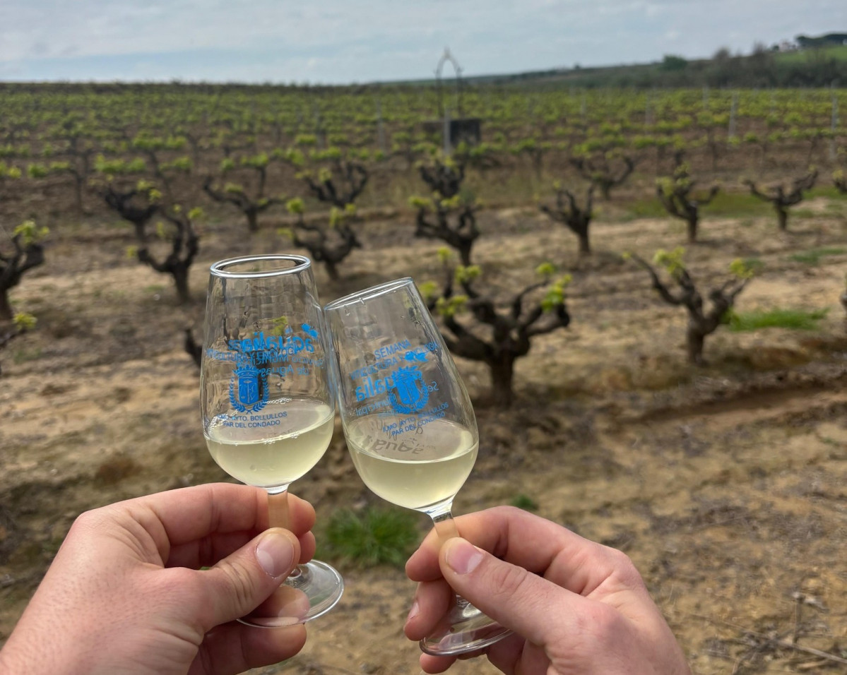 Bodegas Privilegio del Condado