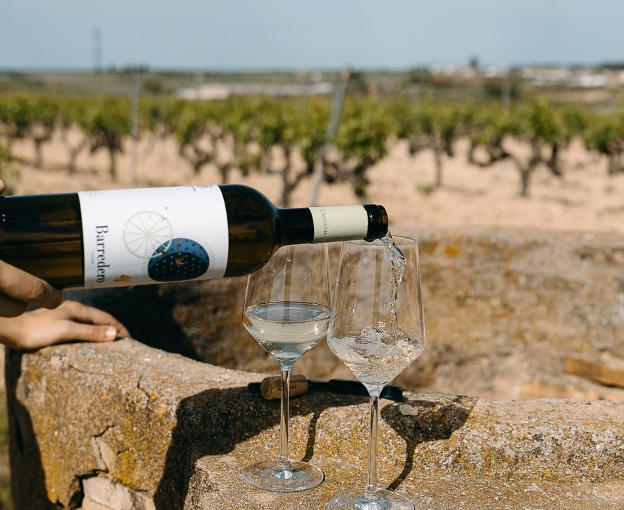 674877915 2151963752187365 2086367913138579289 n