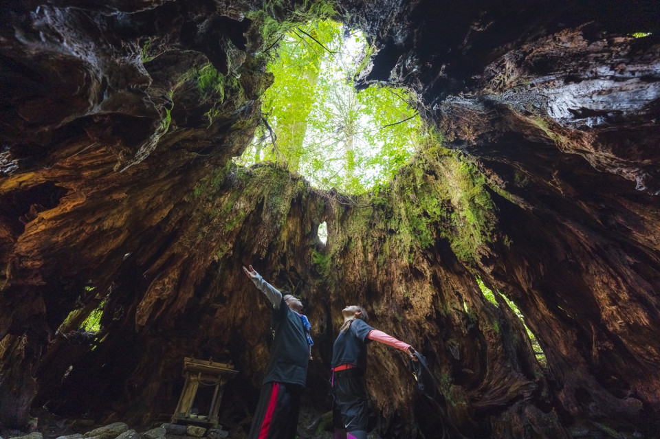 ©Soramido Yakushima Tocón de Wilson