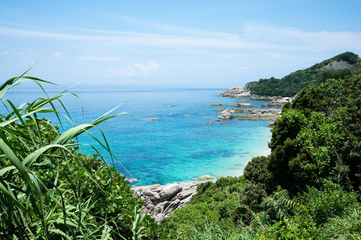 Yakushima Island 0271 l
