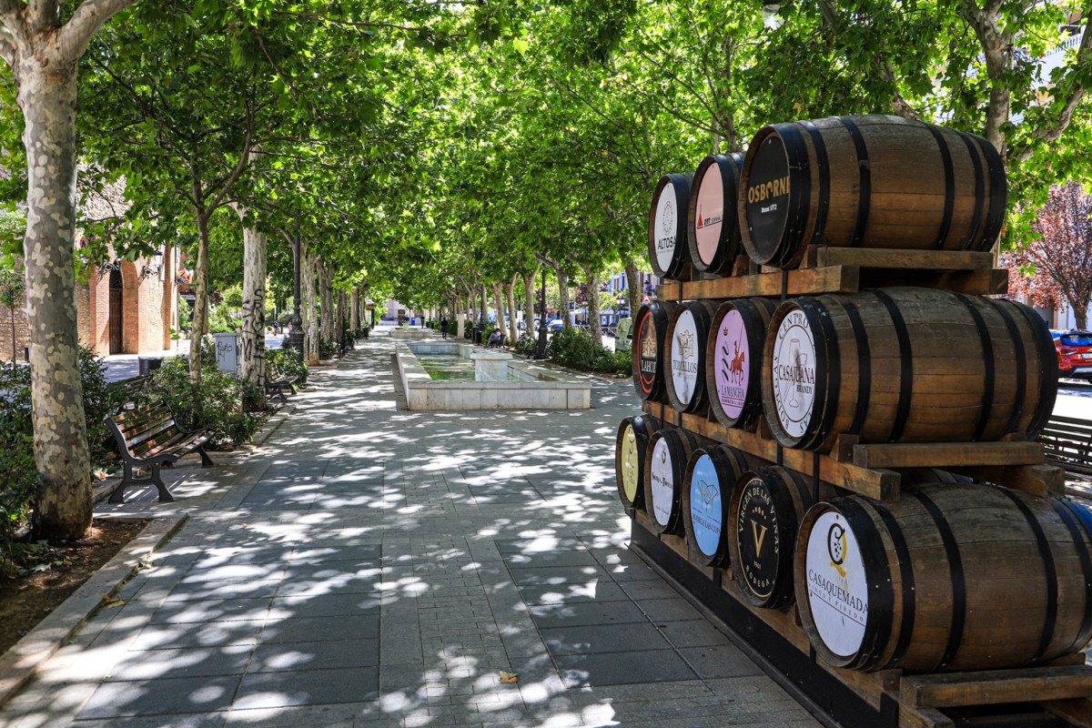 Tomelloso, parque paseo de las morreras