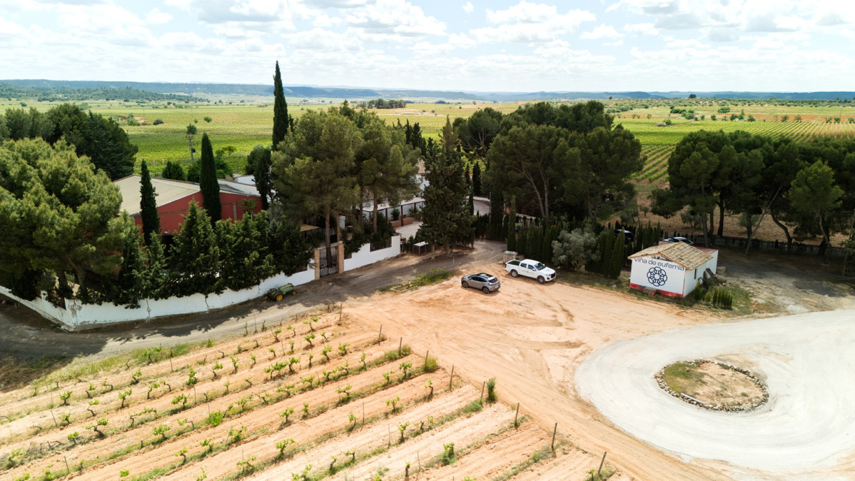 Bodega Viu00f1a de Eufemia   Viu00f1edos