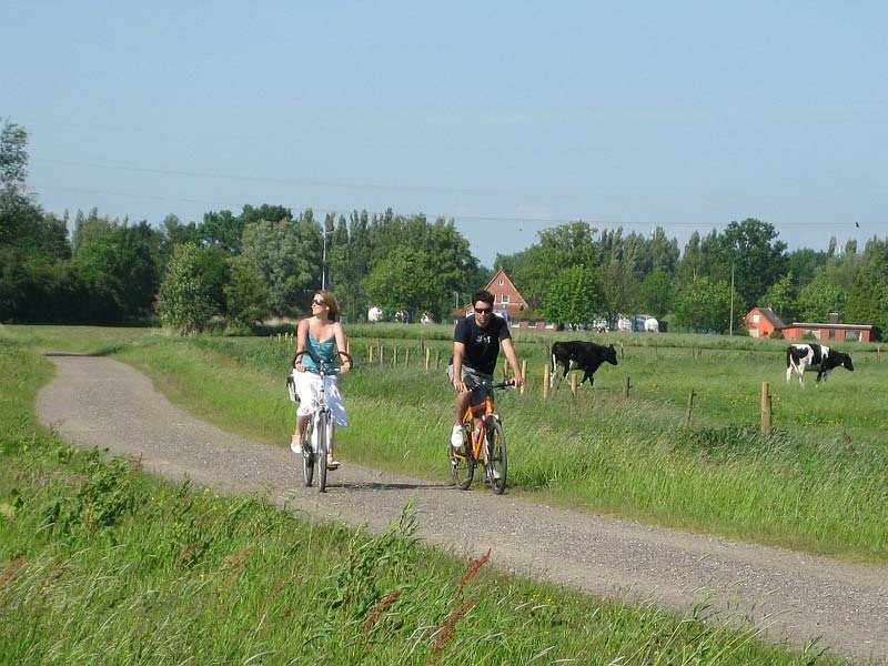 Radfahrerunterwegsaufdermilchstrasse