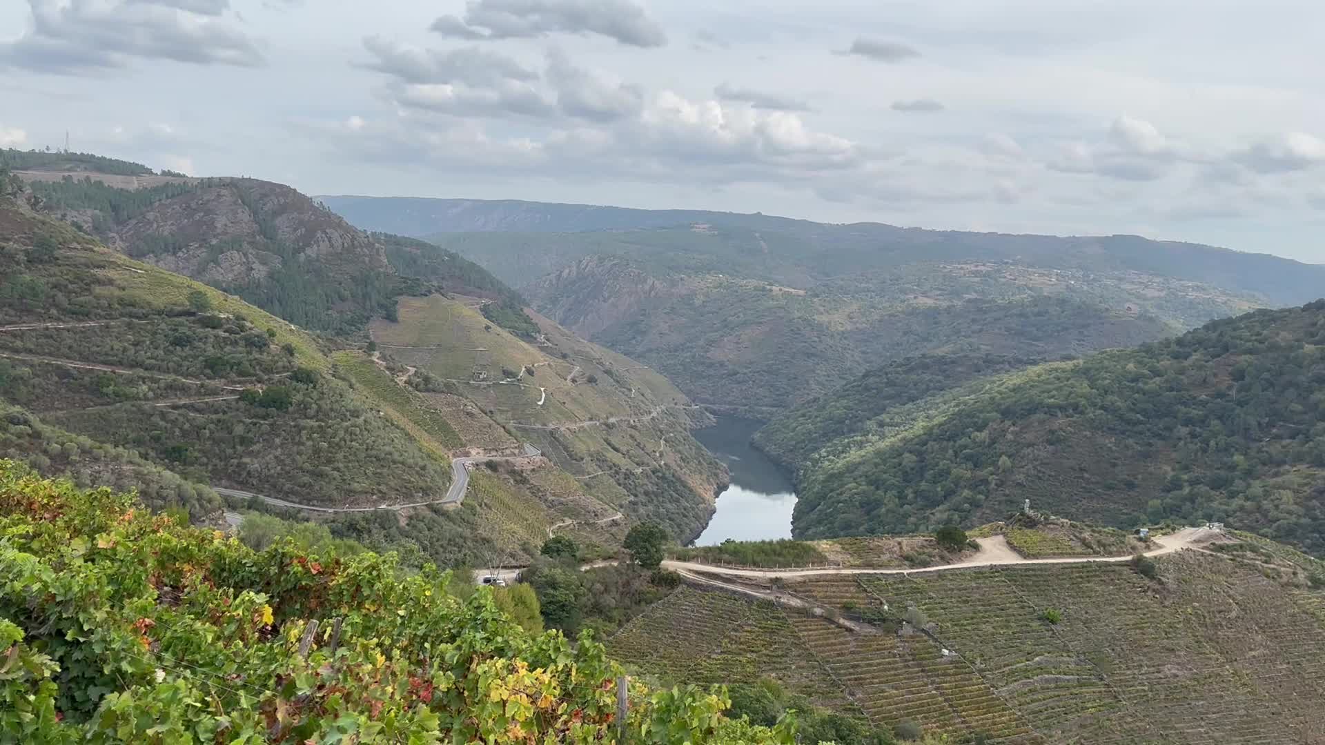 Visita en otoño a la Ribeira Sacra (Vinos y Caminos)